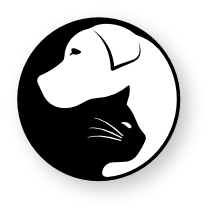 jing.vet